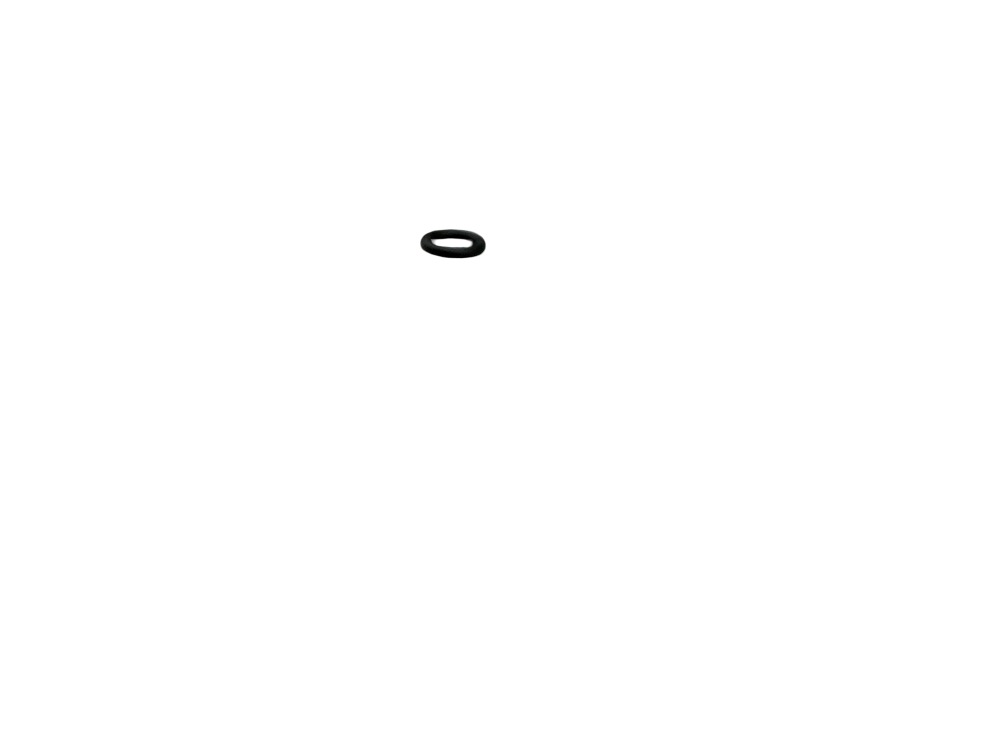 O-ring