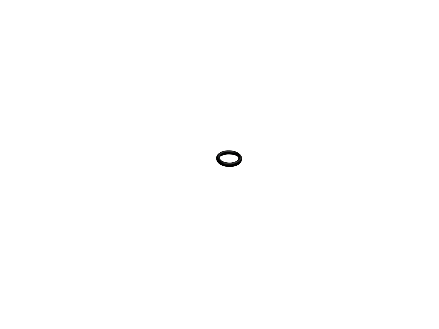 O-ring