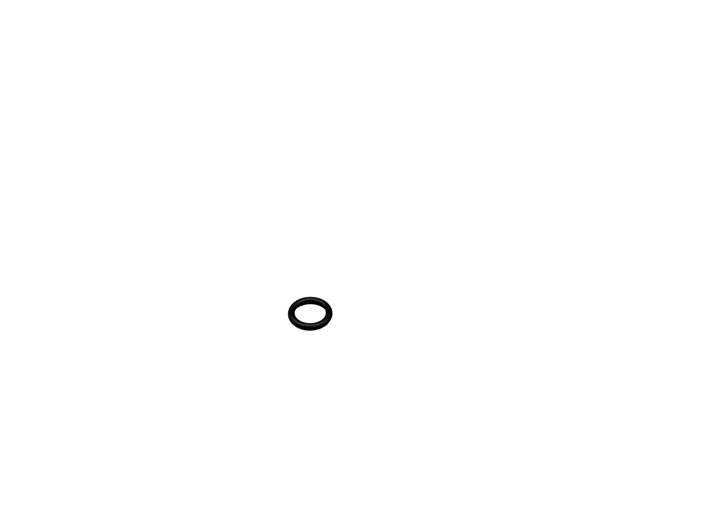 O-ring